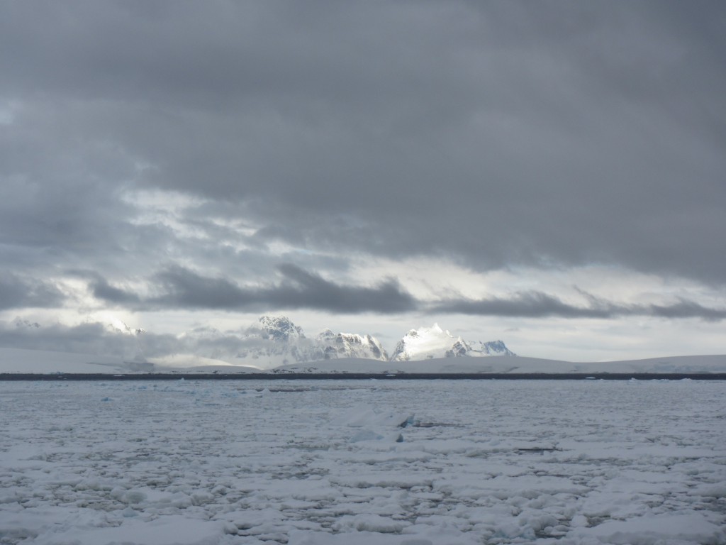 Small floes and brash ice greeted us as we made our way through the Gerlache Strait.