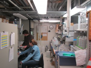 Sean O'Neill and Monica Stegman, part of a research team from Brown University and the Marine Biological Laboratory, inventory their equipment as they prepare for the premature end of their experiments.