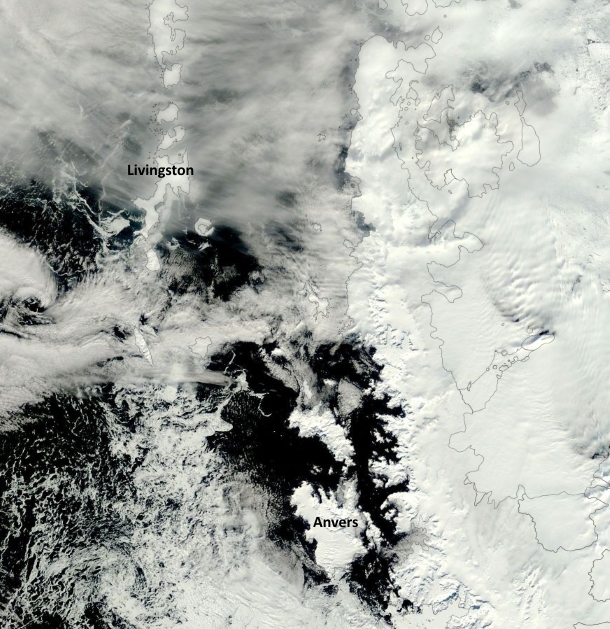 A Nov. 4, 2015, image from the MODIS Aqua satellite shows a tongue of ice extending toward the pole from Palmer's location at the southern tip of Anvers Island. (This was taken on a rare day of mostly clear skies; the wispy features in the image are clouds.)