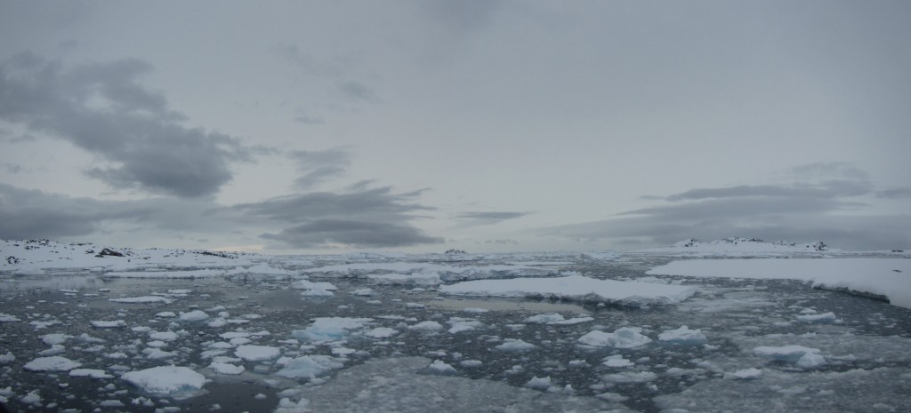 View from the Palmer Station pier at almost 10 p.m., November 11, 2015. Some of the fast ice in Hero Inlet has broken off into scattered floes. Icebergs are visible on the horizon.