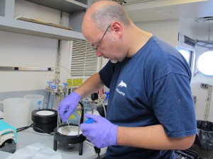 Stefan Sievert processes the filter from the Large Volume Pump. The brownish stuff is filtered microbes. 