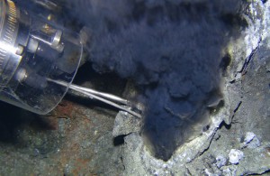 Collecting fluids from a black smoker at P-vent