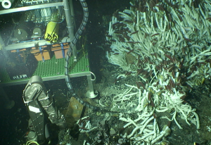 The Vent-SID microbial incubation platform on the seafloor