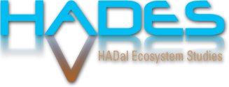 HADES logo