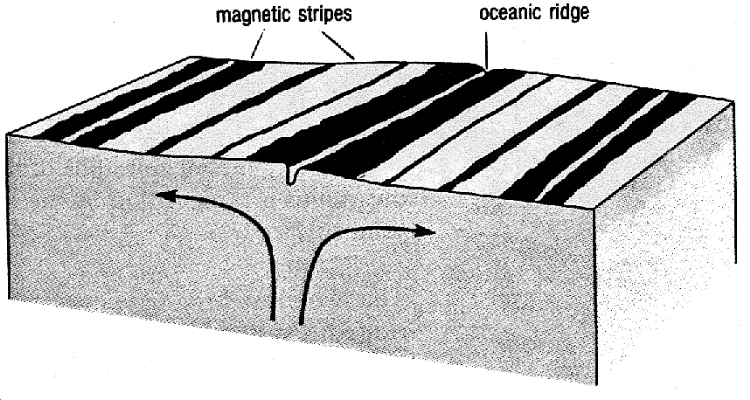 As the ocean crust spreads from the midocean ridge, the polarity of the Earth's magnetic field is recorded in stripes (deeptow.whoi.edu)