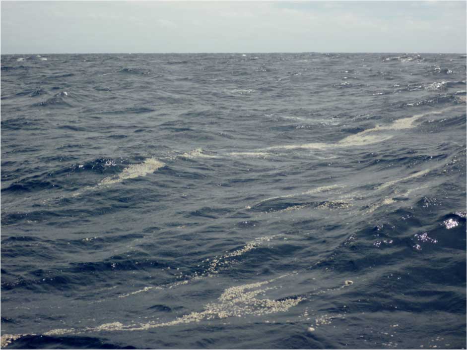 Ribbons of pumice clasts by a sailing crew in October 2012, in between Tonga and New Zealand. Photo courtesy: Ilkka Liukkonen