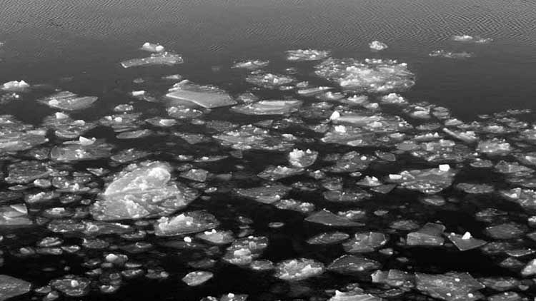 Nympheas, Arctic style. The originals are in Paris at Musée de l'Orangerie—and you don't need an icebreaker to get there. Recommended. (photo by Chris German, Woods Hole Oceanographic Institution)