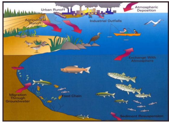 Environmental pollution and the precautionary principle – Broader ...