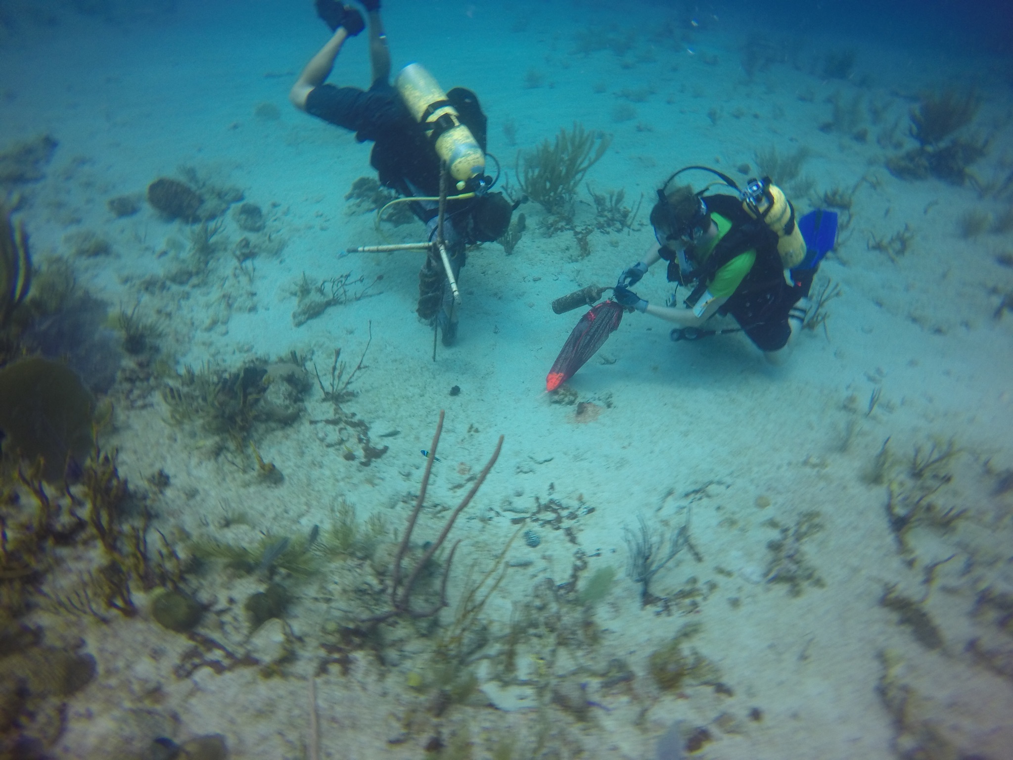St. John USVI; Ian Jones (right) works with another lab member to retrieve an acoustic recorder that was deployed to listen to coral reef sounds.