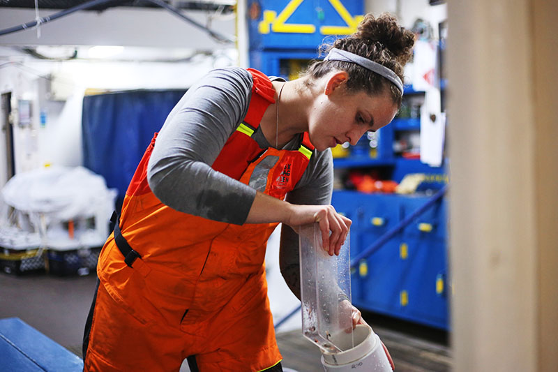 Kayla Gardner splits a MOCNESS sample in the wet lab.

Photo by Markey Parker © Woods Hole Oceanographic Institution