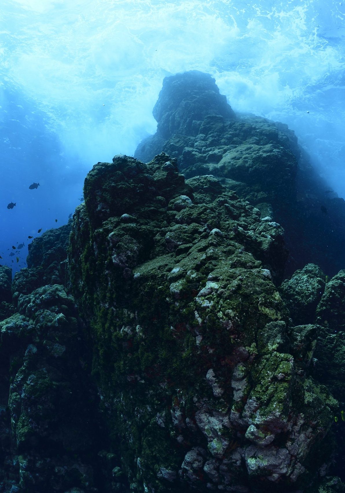 An underwater shot of an exposed chunk of St Paul's Rock, a mantle rock. Taken by Solvin Zankl while diving. 