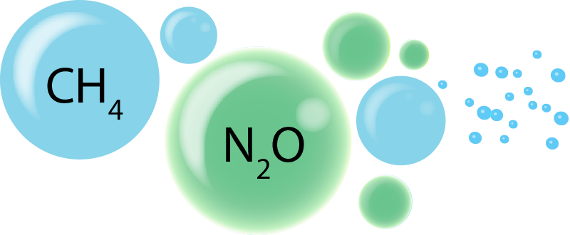 Oceanic Methane and Nitrous Oxide Workshop