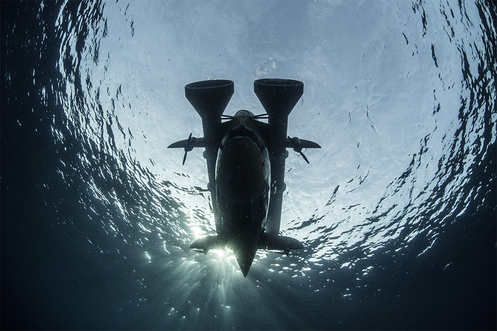 sentry-underwater