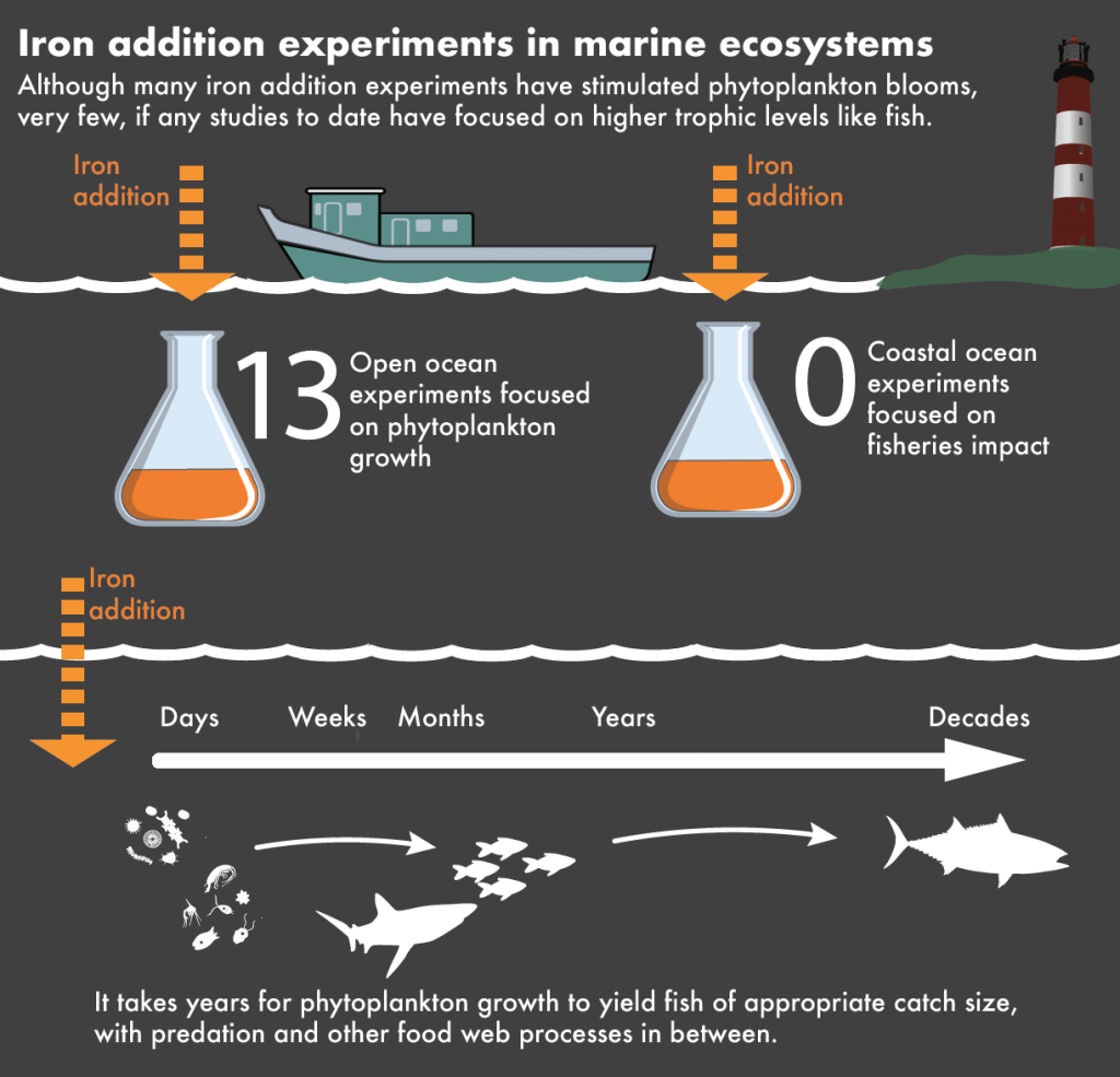 Infographic on Ocean Fertilization – Ocean Fertilization