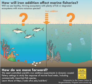 Infographic on Ocean Fertilization – Ocean Fertilization