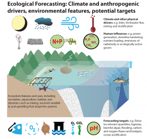eco-fore-4 eco-fore-4