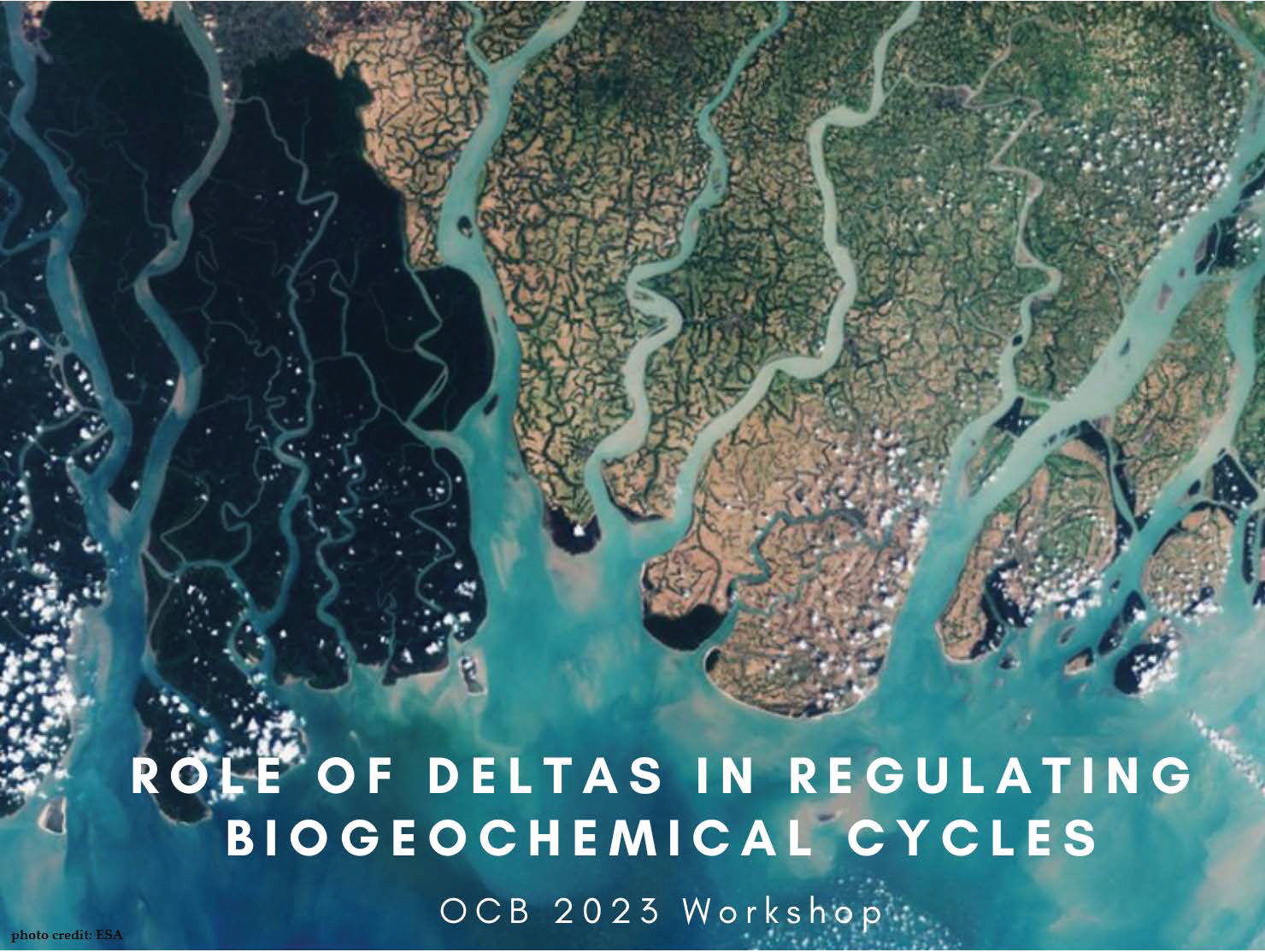 Role of deltas in regulating biogeochemical cycles_Final