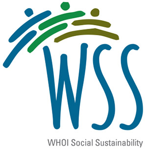 wss logo