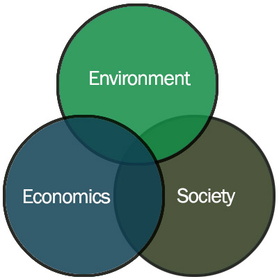 Sustainability: Where the Environment, Economics and Society meet