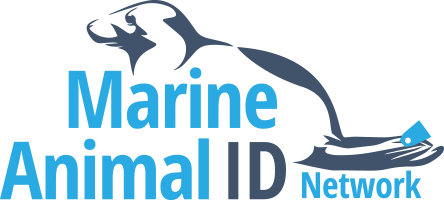 Marine Animal Identification Network